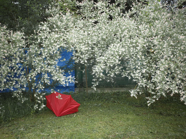 267 :: Red umbrella